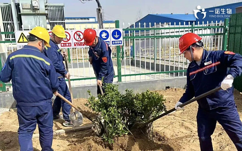 共植綠色未來(lái),化工企業(yè)植樹活動(dòng),環(huán)保,綠色工廠